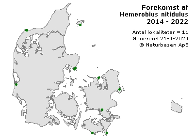 Hemerobius nitidulus - udbredelseskort