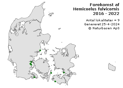 Hemicoelus fulvicornis - udbredelseskort