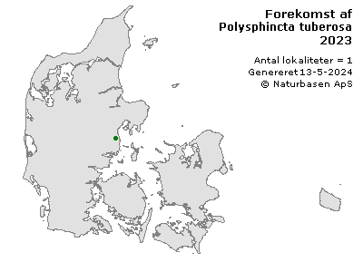 Polysphincta tuberosa - udbredelseskort