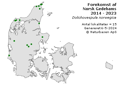 Norsk Gedehams - udbredelseskort