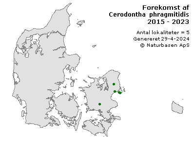 Cerodontha phragmitidis - udbredelseskort