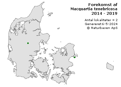 Macquartia tenebricosa - udbredelseskort