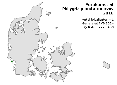 Philygria punctatonervosa - udbredelseskort