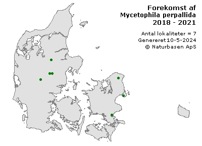 Mycetophila perpallida - udbredelseskort
