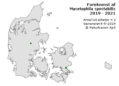 Mycetophila spectabilis - udbredelseskort