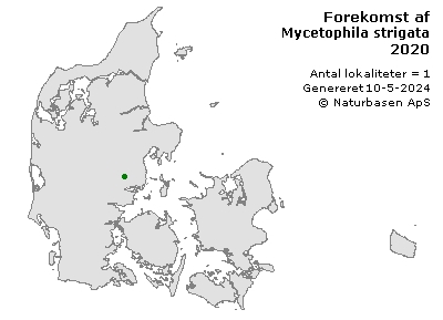 Mycetophila strigata - udbredelseskort
