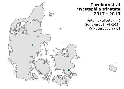 Mycetophila trinotata - udbredelseskort
