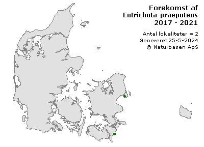 Eutrichota praepotens - udbredelseskort