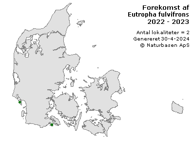 Eutropha fulvifrons - udbredelseskort