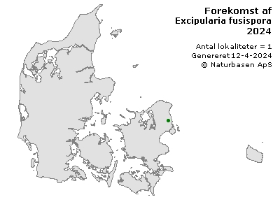 Excipularia fusispora - udbredelseskort