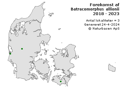 Batracomorphus allionii - udbredelseskort