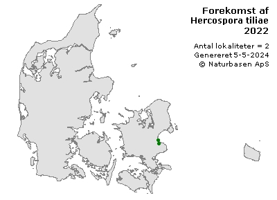 Hercospora tiliae - udbredelseskort