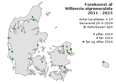 Willowsia nigromaculata - udbredelseskort