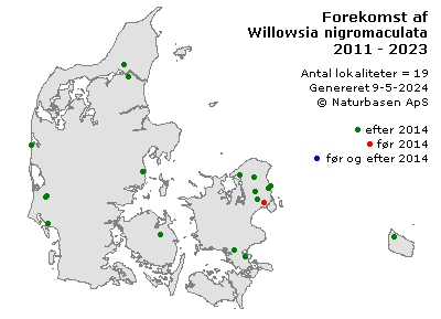 Willowsia nigromaculata - udbredelseskort