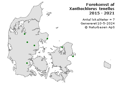Xanthochlorus tenellus - udbredelseskort