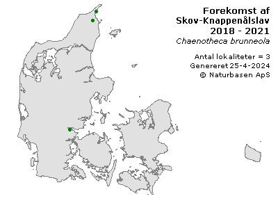 Skov-Knappenålslav - udbredelseskort