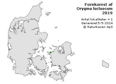 Orygma luctuosum - udbredelseskort