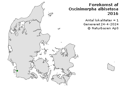 Oscinimorpha albisetosa - udbredelseskort