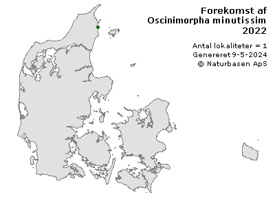 Oscinimorpha minutissima - udbredelseskort