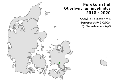 Otiorhynchus indefinitus - udbredelseskort