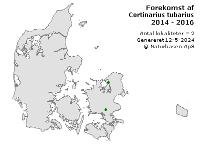 Cortinarius tubarius - udbredelseskort
