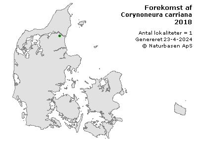 Corynoneura carriana - udbredelseskort