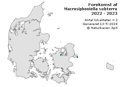 Macrosiphoniella subterranea - udbredelseskort