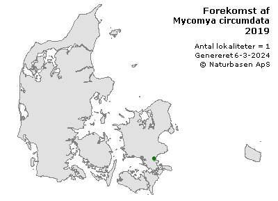 Mycomya circumdata - udbredelseskort