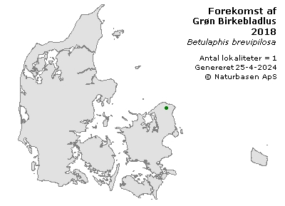 Grøn Birkebladlus - udbredelseskort