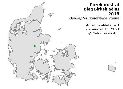 Bleg Birkebladlus - udbredelseskort