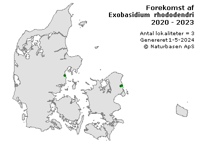 Exobasidium rhododendri - udbredelseskort