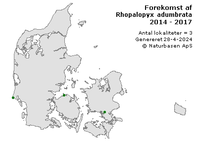 Rhopalopyx adumbrata - udbredelseskort