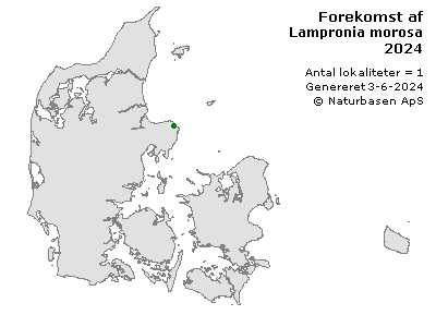Lampronia morosa - udbredelseskort