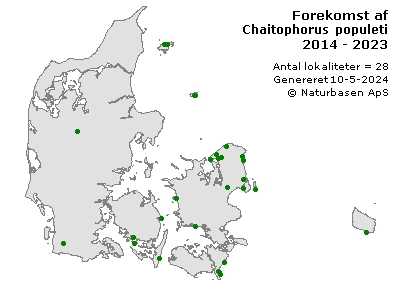 Chaitophorus populeti - udbredelseskort