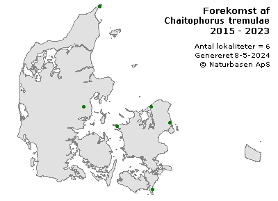 Chaitophorus tremulae - udbredelseskort