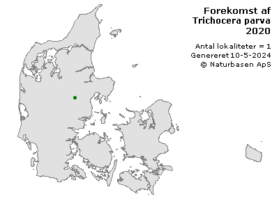 Trichocera parva - udbredelseskort