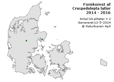 Craspedolepta latior - udbredelseskort