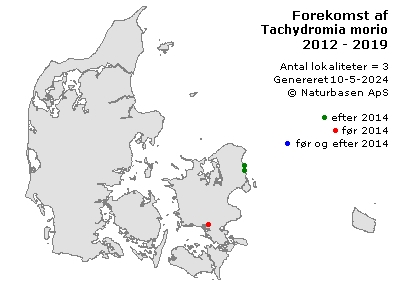 Tachydromia morio - udbredelseskort