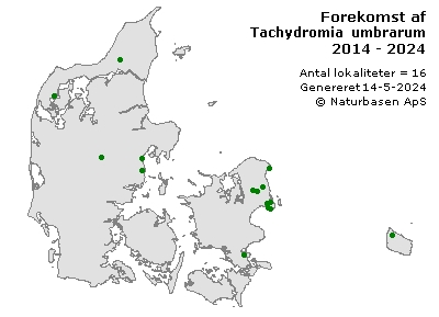 Tachydromia umbrarum - udbredelseskort