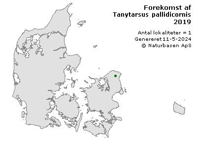 Tanytarsus pallidicornis - udbredelseskort