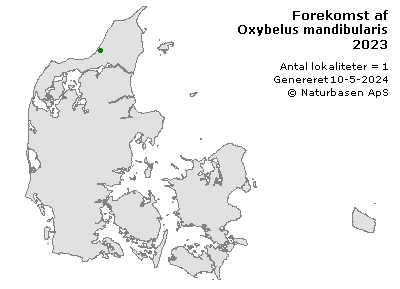Oxybelus mandibularis - udbredelseskort