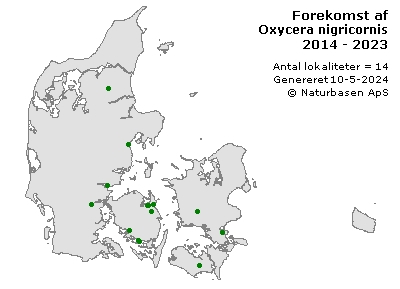 Oxycera nigricornis - udbredelseskort