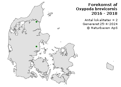 Oxypoda brevicornis - udbredelseskort