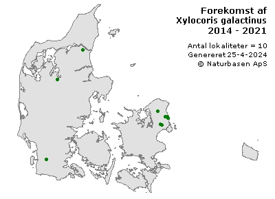 Xylocoris galactinus - udbredelseskort