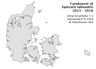 Xylocoris lativentris - udbredelseskort