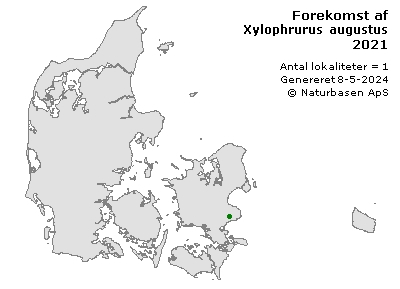 Xylophrurus augustus - udbredelseskort