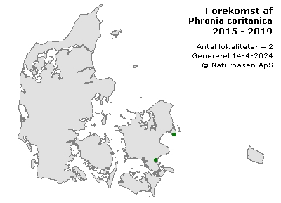 Phronia coritanica - udbredelseskort