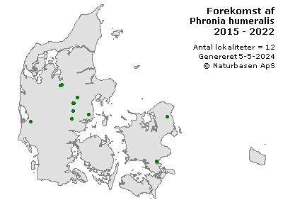 Phronia humeralis - udbredelseskort