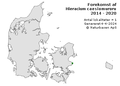 Hieracium caesiomurorum - udbredelseskort