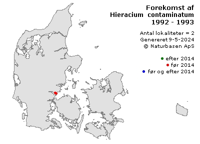 Hieracium contaminatum - udbredelseskort